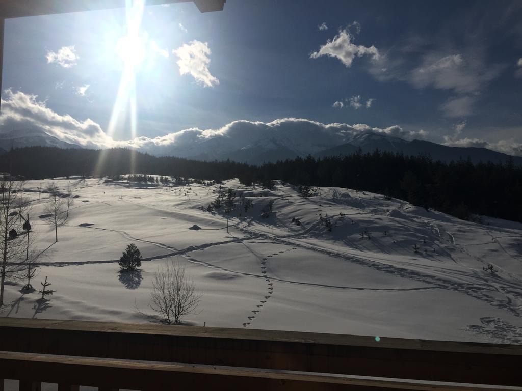 Apartament Pm Mountain View Fireside Retreat Bansko Zewnętrze zdjęcie